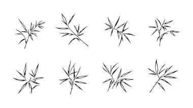 Bambu yaprağı çizgisi. Doğa için zarif tasarım.