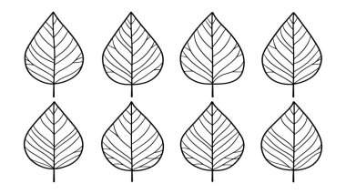 Bael yaprağı çizgisi iç dekorasyon için yaratıcı sanat eserleri