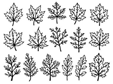 Sonbahar yaprakları vektör çizgisi asgari biçimsel organik formları davet ediyor