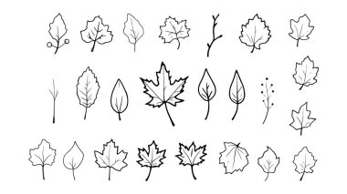 Siyah yapraklar ve bitki vektör illüstrasyonuyla ayarlandı