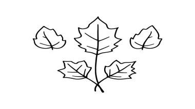 Kül yaprağı çizgisi. Doğal güzelliğin güzel tek renkli çizimi.
