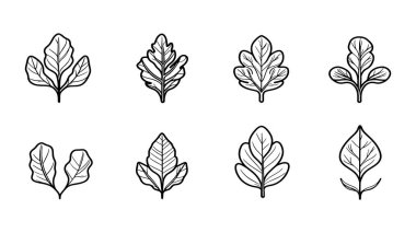 Arugula yaprağı çizgisi duvar sanatı için modern minimalist bitki çizimi