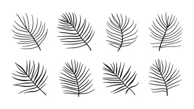 Çağdaş alanlar için Areca palmiye yaprağı çizgisi sanat minimalist biçimi