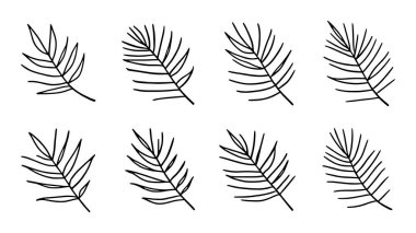 Areca palmiye yaprağı çizgisi duvar sanatı için botanik illüstrasyon