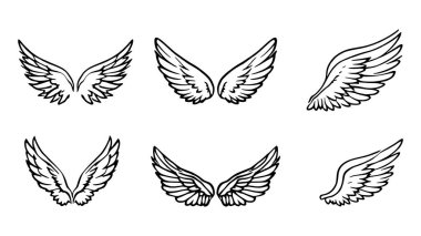 Melek kanatları sanat narin tüy tasarımı