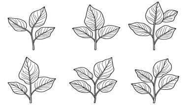 Amaranth yaprak çizgisi minimalist sanat koleksiyonu için mükemmel.