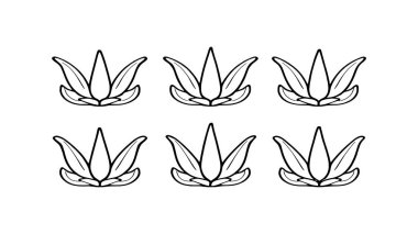 Aloe vera yaprak çizgisi sanat minimalist illüstrasyonla hassas ayrıntılar