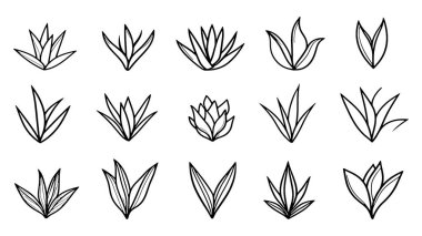 Aloe Vera Yaprak çizgisi dekorasyon için soyut ve zarif bitki çizimi