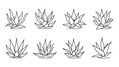 Aloe çiçek çizgisi. Resim çizimi. Çiçek deseni baskılar için mükemmel.