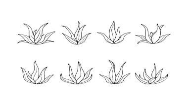 Aloe vera yaprak çizgisi temiz çizgileri olan soyut çizimler