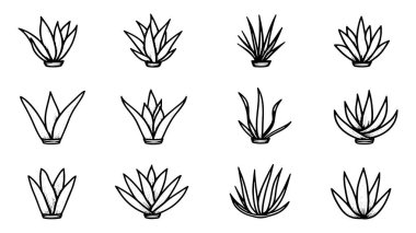 Aloe Vera Leaf çizgi sanatı basit minimalist botanik çizim tasarımı