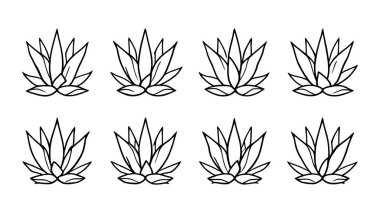 Agave çiçek çizgisi, agave bitkisinin basit bir çizimi.