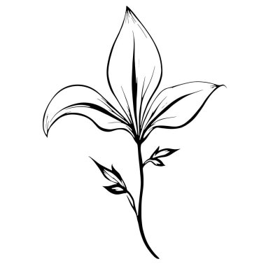 Zambak çizgisi üzerine siyah bir sembol modern tek renkli çiçek grafiği için.