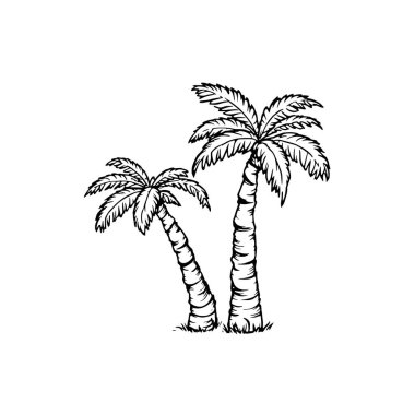2 palmiye ağacı sanat çizgisi asgari doğa çizimi