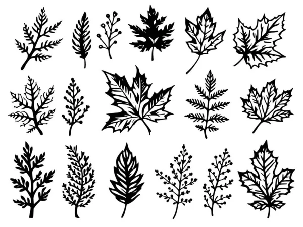 Sonbahar yaprakları vektör çizgisi zarafeti davet ediyor sadelik doğa güzelliği sakin