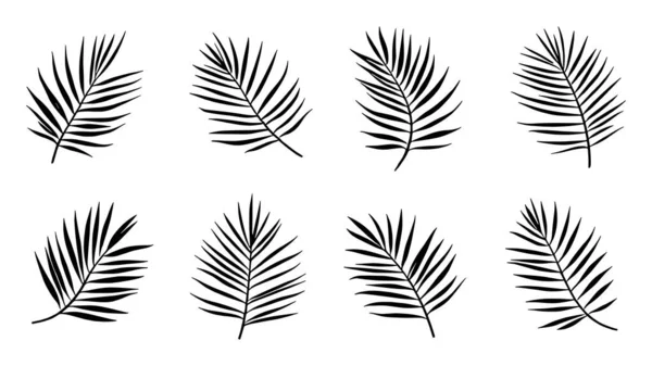 Areca palmiye yaprağı çizgisi modern dekor için zarif tasarım