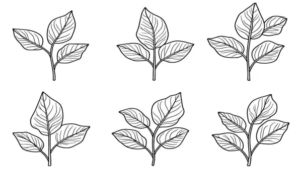 Amaranth yaprak çizgisi minimalist sanat koleksiyonu için mükemmel.