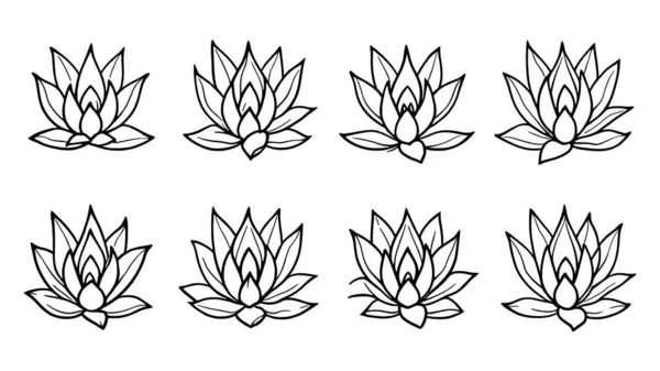 Agave çiçek çizgisi sanat botanik illüstrasyon sanatsal çiçek çizim tarzı