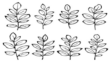 Eucalyptus leaf line art minimal botanical drawing for home decor