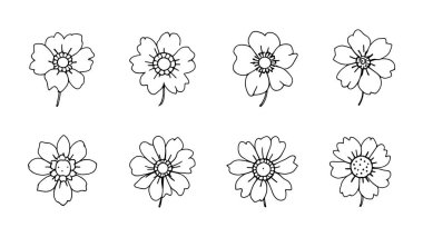 Karmaşık çizgileri olan Mürver Çiçek Çizgisi Minimalist botanik çizim