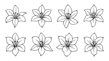 Paskalya Zambağı Çizgisi Sanat çizimi Dekorasyon için güzel bir çiçek çizimi