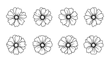 Dianthus çizgisi modern dekor için zarif çiçek tasarımı