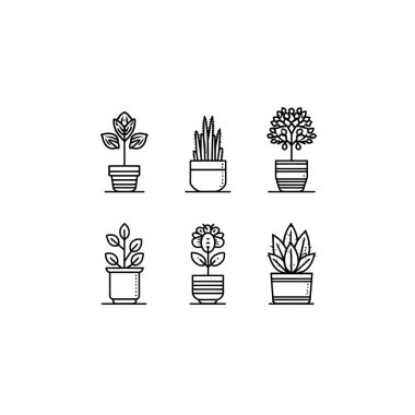 Masa Bitkisi Çizgisi Sanatı Sakin çalışma alanı estetiğini geliştiriyor