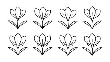 Crocus çizgisi sanat çizimi duvar sanatı için narin çiçek çizimi