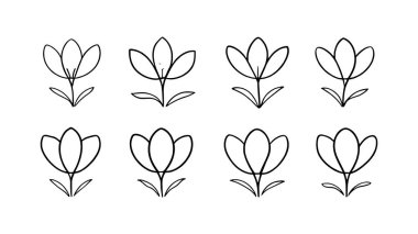 Crocus çizgisi sanat illüstrasyonu dekor için güzel çiçek tasarımı