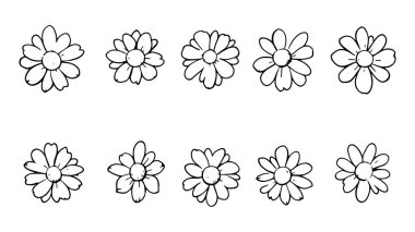 Yaygın papatya çiçeği çizimi sanat doğası zarif çiçek tasarımı esinlenmiştir.