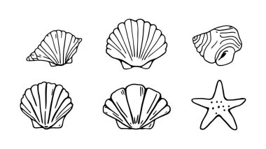 Sahildeki deniz kabuğu koleksiyonu çizgisi çizimi