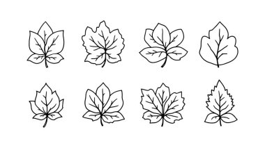 Coleus line art botanical print nature inspired decorative wall art