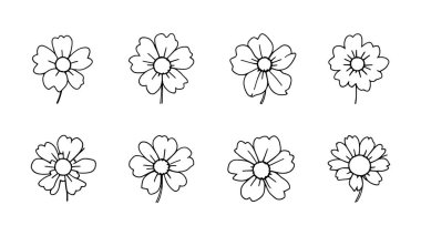 Doğal bitki özelliklerini vurgulayan birkaç satır sanat botanik sanatı