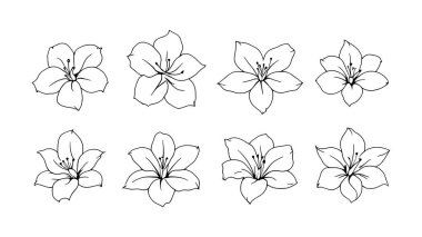 Gündüz çizgisi sanat çizimleri modern iç mekanlar için narin çiçek çizimleri