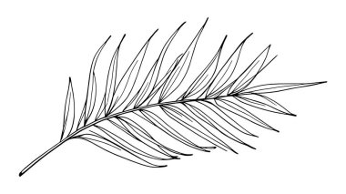 Hurma yaprağı çizgisi sanatın karmaşıklığı Minimalist illüstrasyondan esinlenilmiştir