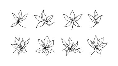 Cennet Kuşu serisi. Sanat minimalist modern çiçek tasarımı.