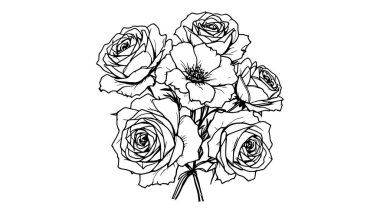 Bir buket gül çizgisi ince çizgilerle yaratılmış narin taç yaprakları.