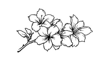 Frangipani çiçeklerinin dalı sanat doğasıdır.