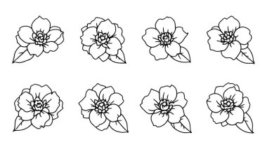Minimalist duvar sanatı için kamelya çizimi