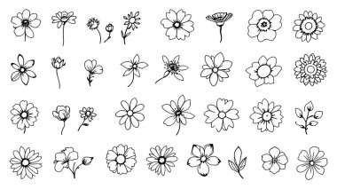 Çiçek çizgisi sanat vektörü çizimi