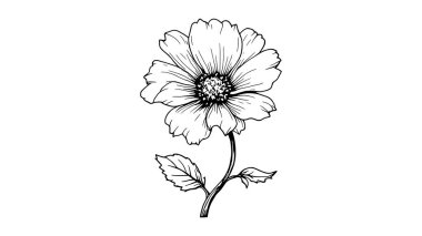 Çiçek çizgisi ev dekorasyonu için eşsiz stil botanik sanat eserleri