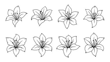 Ginger Lily çizgisi duvar dekoru için güzel çiçek çizimi tasarımı