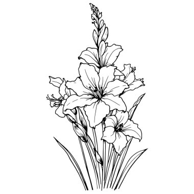 Gladiolus çizgisi sanat zarif çiçek tasarımı basitlik ve zarafete davet edilir