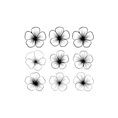 Hardy Geranium serisi sanat narin bahçe botanik çizimi