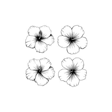 Hardy Hibiscus çizgisi sanat zarif saplar zarif çiçek tasarımı