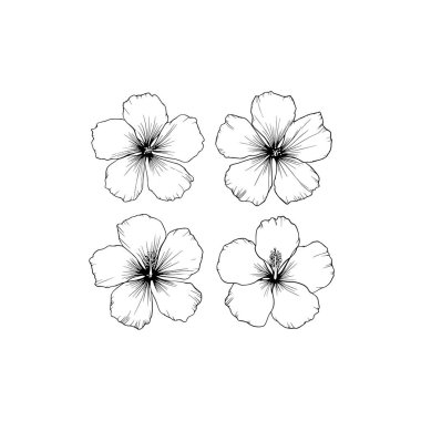 Hardy Hibiscus serisi, sanat eserleri, canlı tropikal bahçeler.