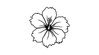 Heliconia çizgisi basit tropikal çiçek çizimi