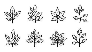 Buz Bitkisi çizgisi sanat illüstrasyonu minimalist doğa tasarım sanatı