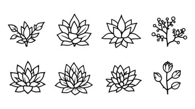 Ice Plant çizgisi sanat tasviri modern botanik sanat eseri temiz tasarım