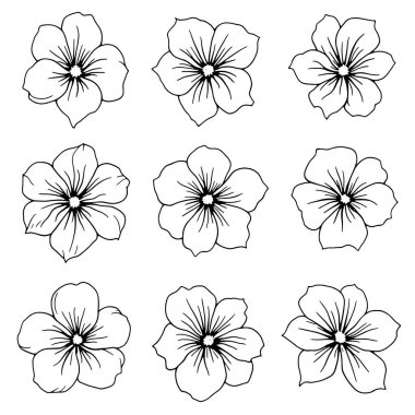 impatiens line art; narin çiçek tasarımı; basit zarif güzellik